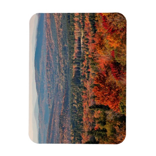Witte bergen Nationaal Woud | New Hampshire Magneet (Verticaal)