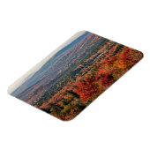 Witte bergen Nationaal Woud | New Hampshire Magneet (Linkerzijde)