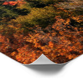 Witte bergen Nationaal Woud | New Hampshire Poster (Hoek)