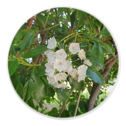 Witte berglaurier groene bladeren keramische knop (Voorkant)