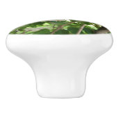 Witte berglaurier groene bladeren keramische knop (Zijkant)