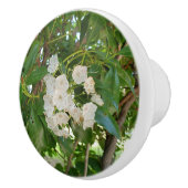 Witte berglaurier groene bladeren keramische knop (Rechts)