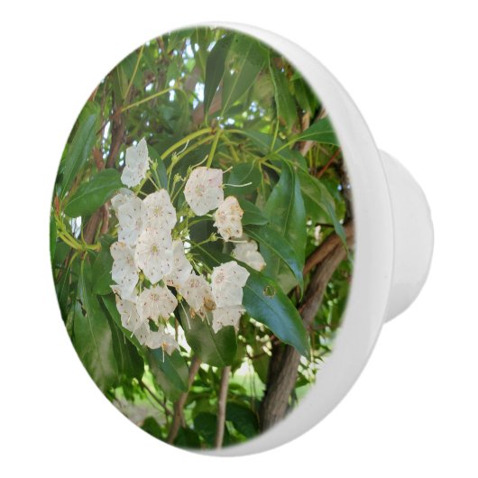 Witte berglaurier groene bladeren keramische knop (Rechts)