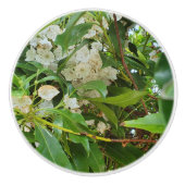 Witte berglaurier  keramische knop (Voorkant)