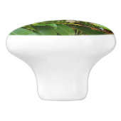 Witte berglaurier  keramische knop (Zijkant)