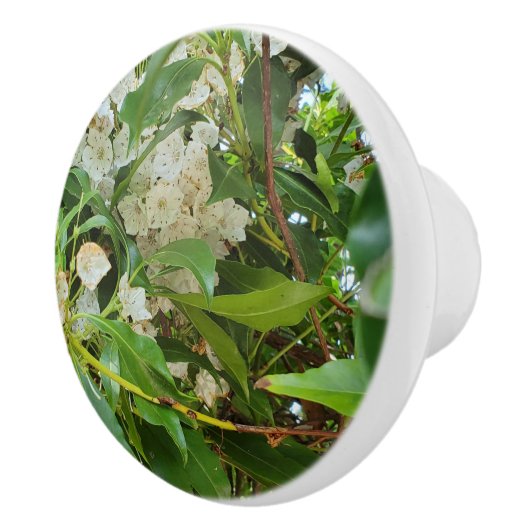 Witte berglaurier  keramische knop (Rechts)