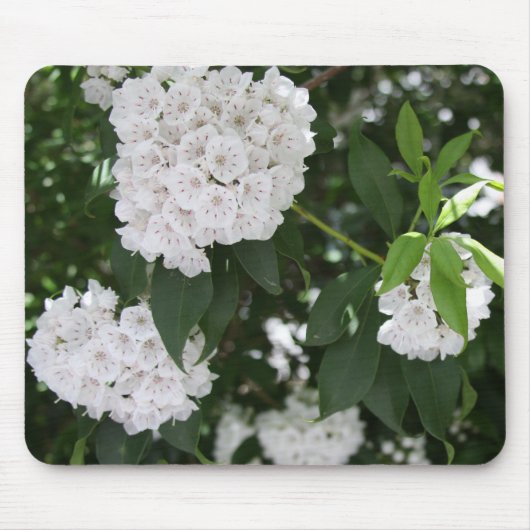 witte berglaurier stervormige bloemen muismat (Voorkant)