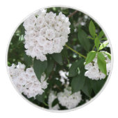 Witte berglaurierbloemen keramische knop (Voorkant)