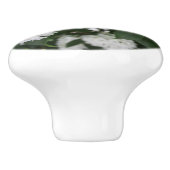 Witte berglaurierbloemen keramische knop (Zijkant)