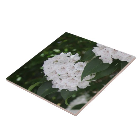 Witte Berglaurierbloemen Tegeltje (Zijkant)