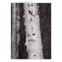 Witte berk (Betula papyrifera) kaart
