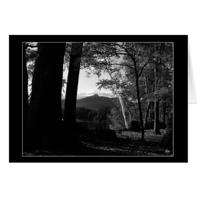 Witte berk in een Chocorua Sunset Kaart (Voorkant Horizontaal)