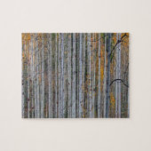 Witte berkenbomen boslandschap natuur legpuzzel (Horizontaal)