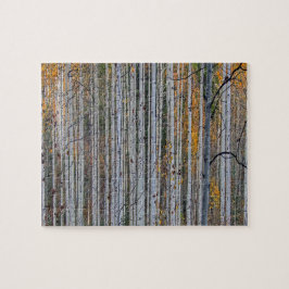 Witte berkenbomen boslandschap natuur legpuzzel
