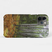 Witte berkenbomen en herfstvarens bij Rocky Mounta Case-Mate iPhone Case (Achterkant (horizontaal))