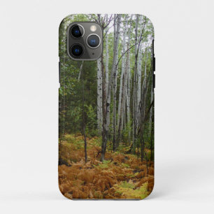 Witte berkenbomen en herfstvarens bij Rocky Mounta Case-Mate iPhone Case