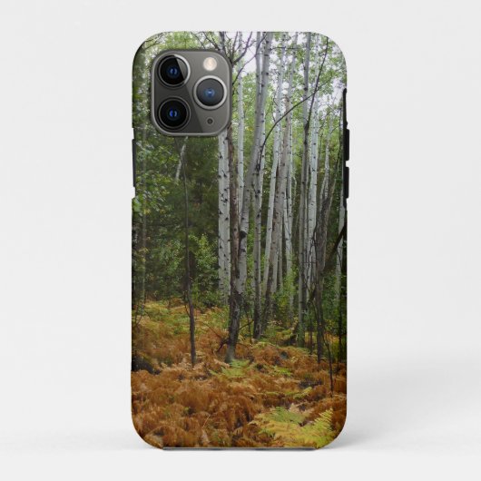 Witte berkenbomen en herfstvarens bij Rocky Mounta Case-Mate iPhone Case (Achterkant)