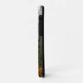 Witte berkenbomen en herfstvarens bij Rocky Mounta Case-Mate iPhone Case (Achterkant/links)