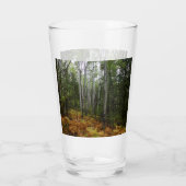 Witte berkenbomen en herfstvarens bij Rocky Mounta Glas (Achterkant)