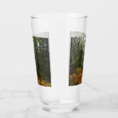 Witte berkenbomen en herfstvarens bij Rocky Mounta Glas (Rechts)