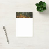 Witte berkenbomen en herfstvarens bij Rocky Mounta Post-it® Notes (Kantoor)