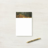 Witte berkenbomen en herfstvarens bij Rocky Mounta Post-it® Notes (Op bureau)