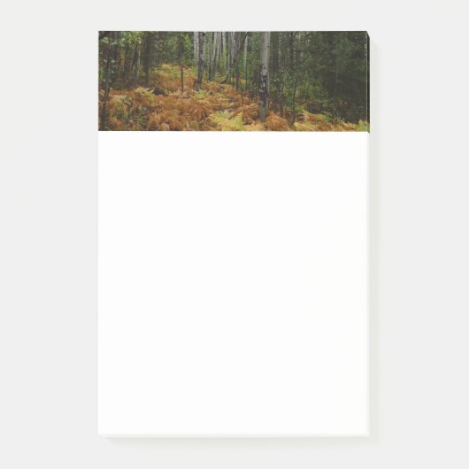 Witte berkenbomen en herfstvarens bij Rocky Mounta Post-it® Notes (Voorkant)