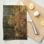 Witte berkenbomen en herfstvarens bij Rocky Mounta Theedoek (Quarter Fold)