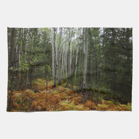Witte berkenbomen en herfstvarens bij Rocky Mounta Theedoek (Horizontaal)