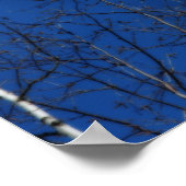 Witte berkenboom Blauwe lucht Natuur Orton Art Poster (Hoek)