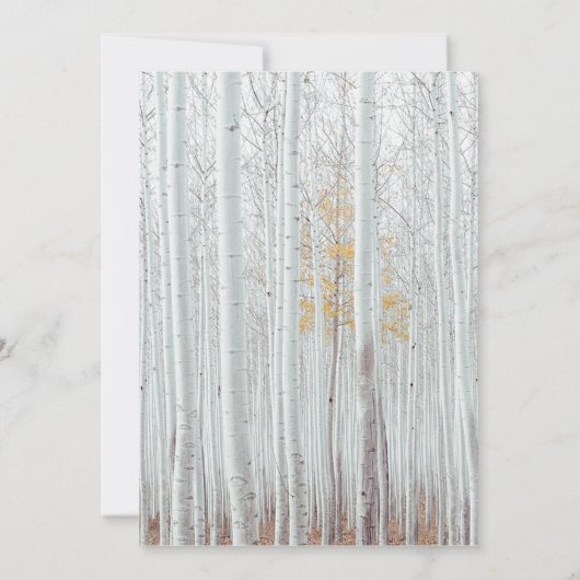 Witte berkenboom bos winter bruiloft kaart (Achterkant)