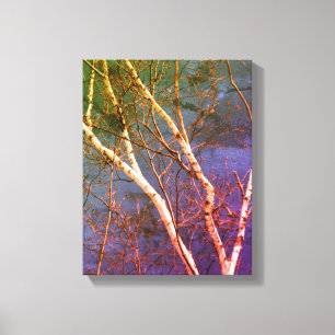 Witte berkenboom tegen Blue Sky Natuur Abstract Canvas Afdruk