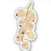 witte bes sticker (Voorkant)