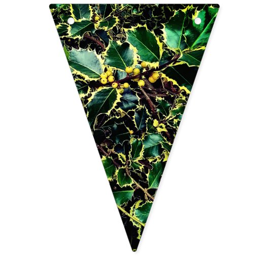 Witte bessen vlaggetjes (Tweede vlag)