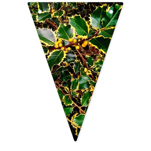 Witte bessen vlaggetjes (Eerste vlag)