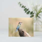 Witte bijeneter briefkaart (Staand voorkant)