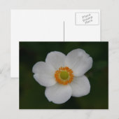 witte bladen briefkaart (Voorkant / Achterkant)