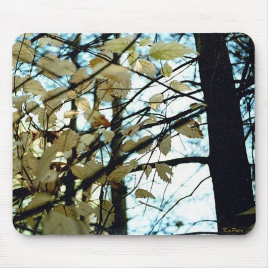 Witte bladeren uit de herfst muismat (Voorkant)