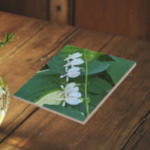 Witte Bloedend Hart Bloemstuk