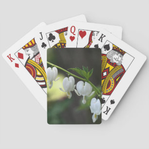 Witte bloeding Hartbloemen Pokerkaarten