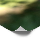 Witte bloeding Hartbloemen Poster (Hoek)