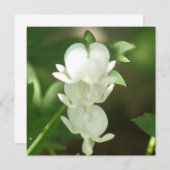 Witte bloedingen Hartnodiging Kaart (Voorkant / Achterkant)