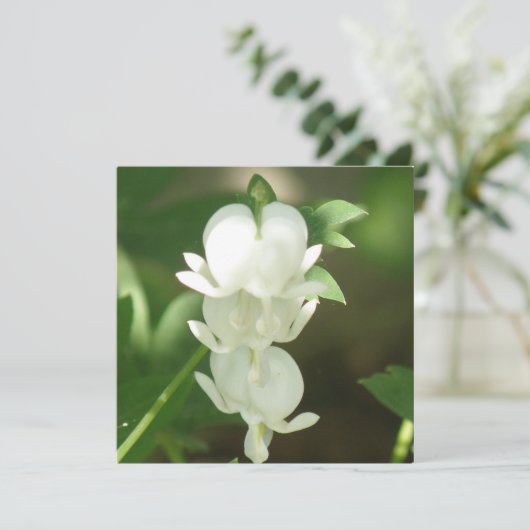 Witte bloedingen Hartnodiging Kaart (Staand voorkant)