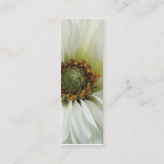 Witte bloedstolsel mini visitekaartje (Achterkant)