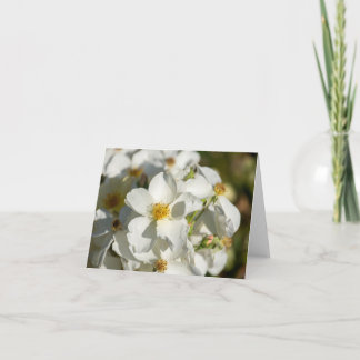 Witte Bloei Notitiekaartje