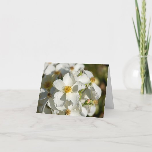 Witte Bloei Notitiekaartje (Voorkant)