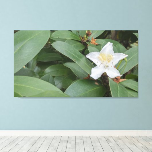 Witte bloei op struik canvas afdruk (Insitu (Houten vloer))