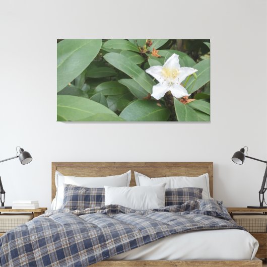 Witte bloei op struik canvas afdruk (Insitu (Slaapkamer))