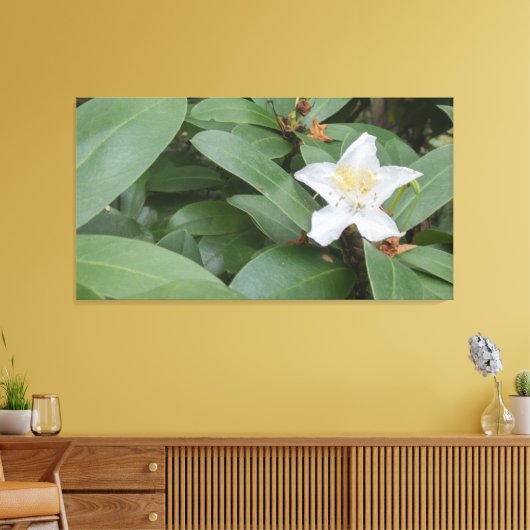 Witte bloei op struik canvas afdruk (Insitu (Woonkamer))