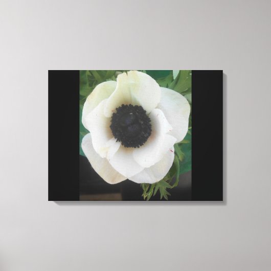 Witte bloeiende bloem canvas afdruk (Voorkant)